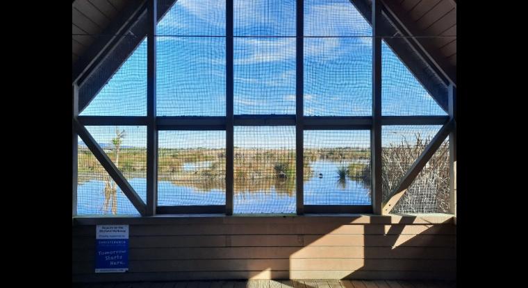 Sheltered viewing platform looking across wetland.