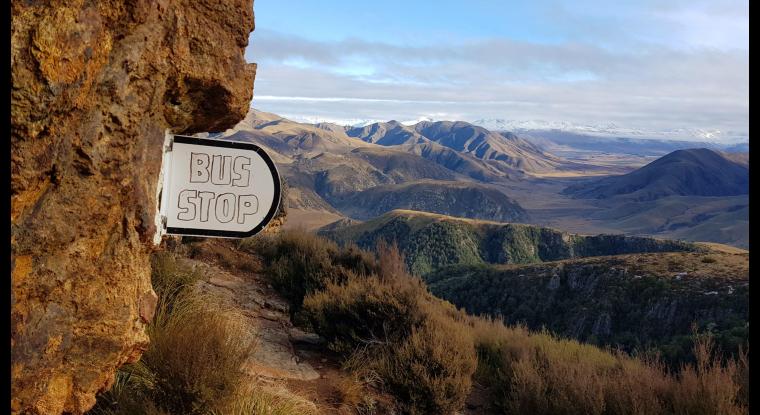 Stunning view at the top of the Rhyolite track.