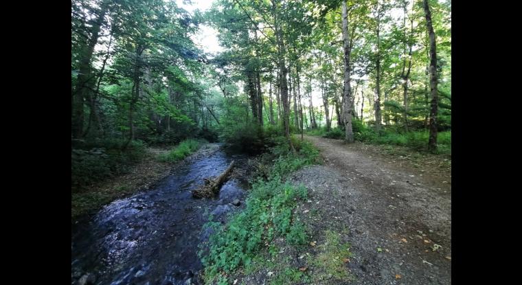 Track runs along side a stream.