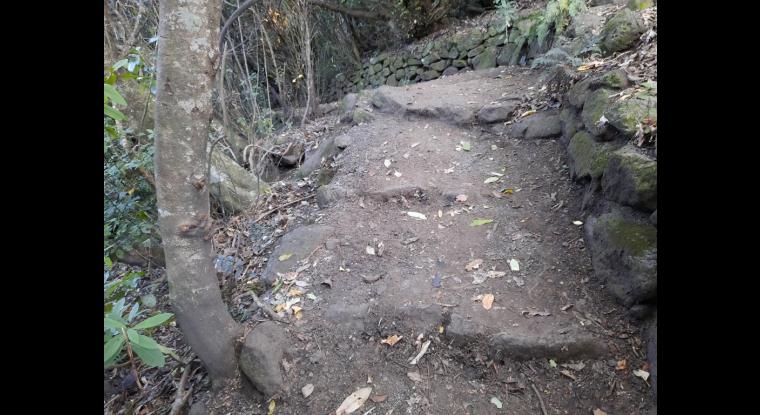 Narrow single file mud track, with rock steps.